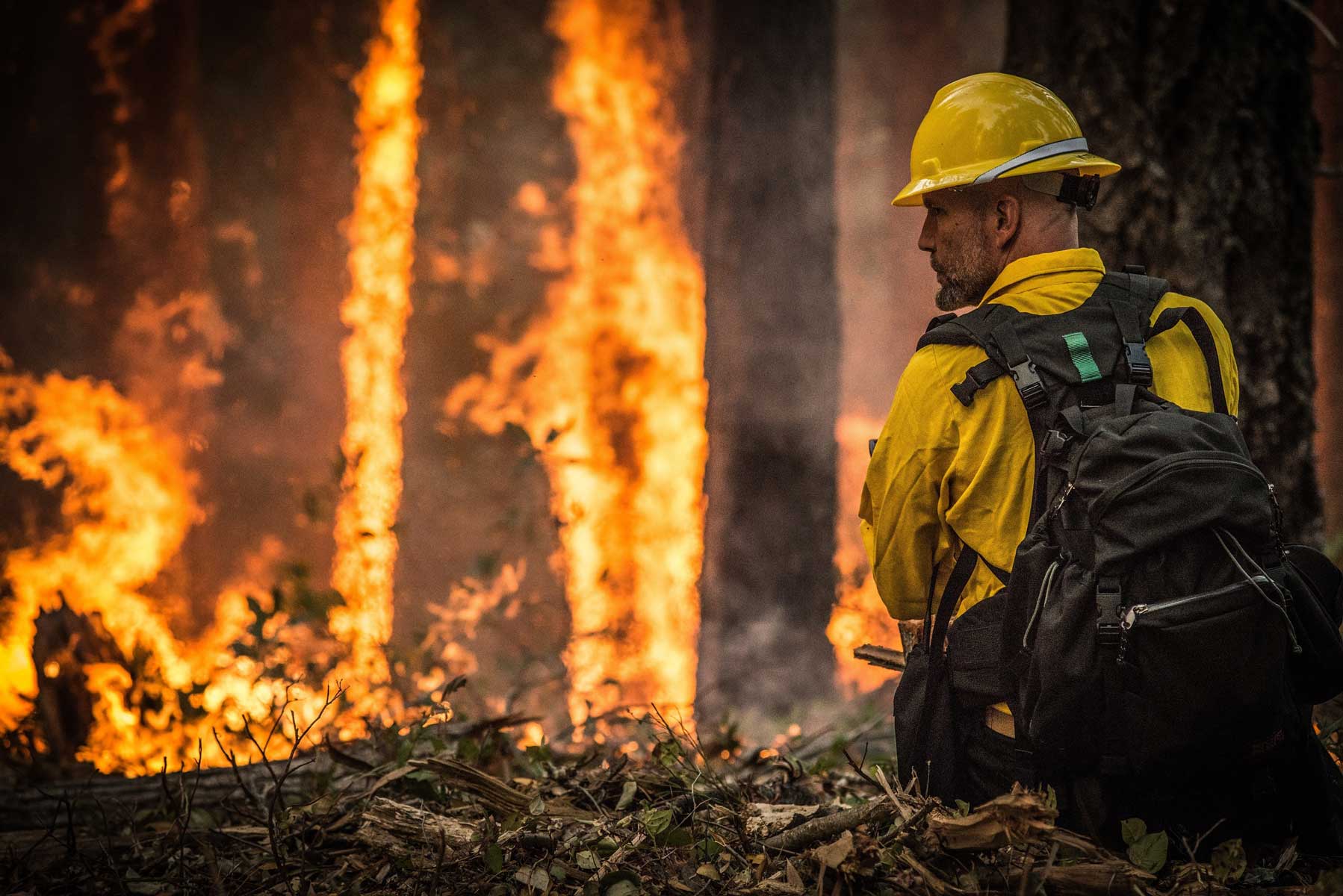 Forest fire and a firefighter