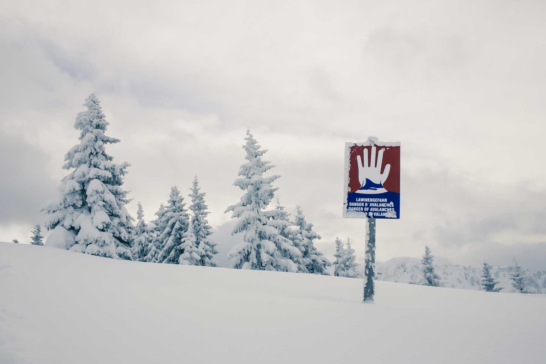 Snow field with sign 'Danger of Avalanches'